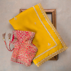 Goog Looking Fancy Saree With Designer Blouse